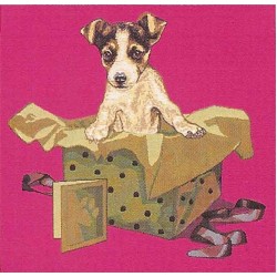 Puppy in Box