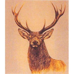 Stag facing left